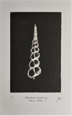 Mezzotint van Guido Van den Eijnden (BEL) uit 2023